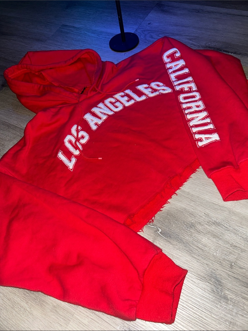 Los Angeles California souvenir hooded cropped sweater